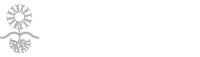 BizNGO logo